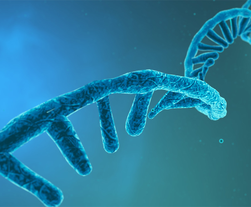 RNA interference therapeutic