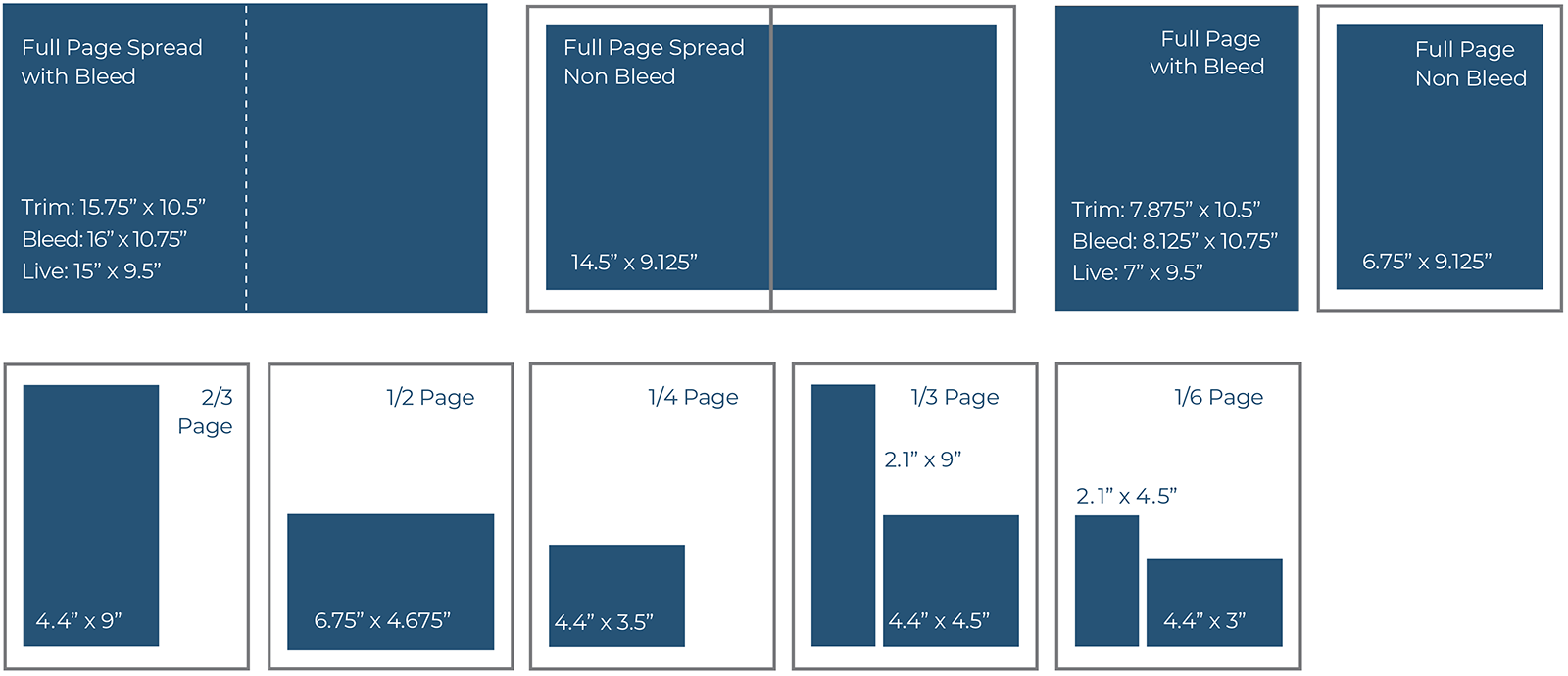 BioSupply Trends Quarterly Available Magazine Advertising Sizes