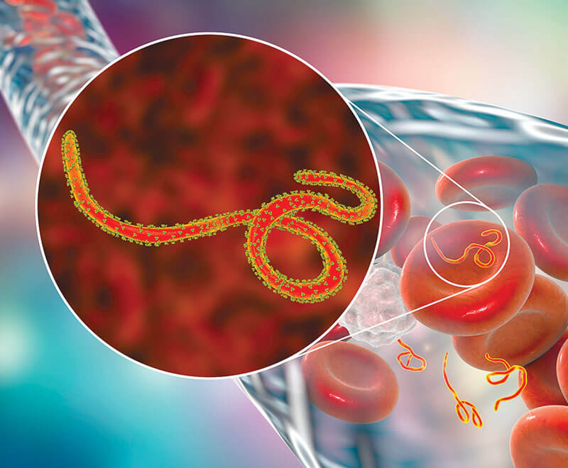 Merck’s Ebola Vaccine Approved for the Pediatric Population