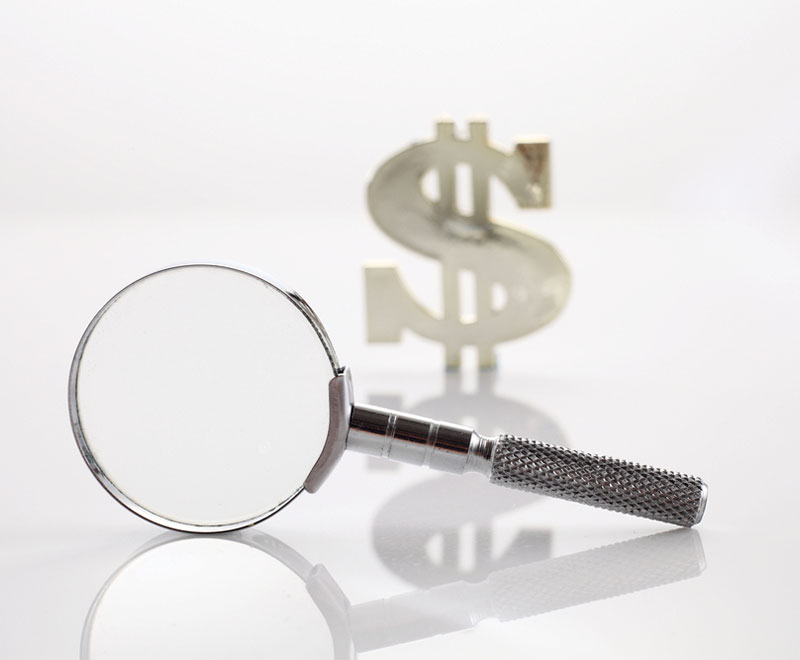 Image of magnifying glass and dollar sign