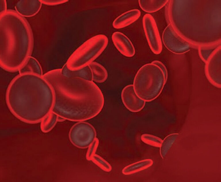 Illustration of red blood cells