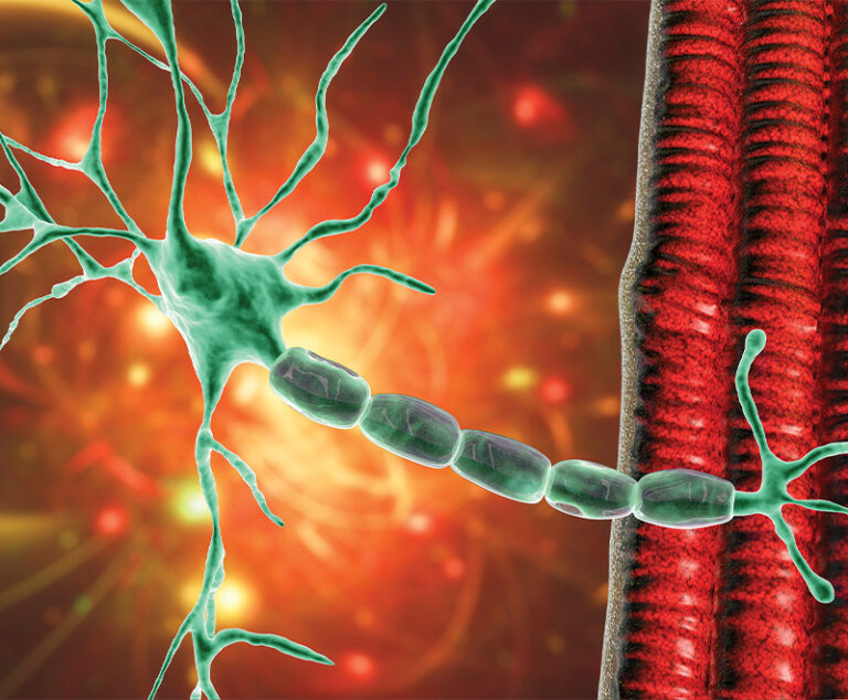 illustration of a neuron