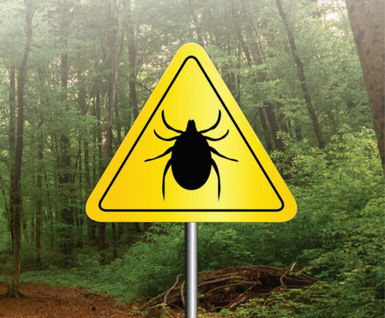 Yellow tick warning sign