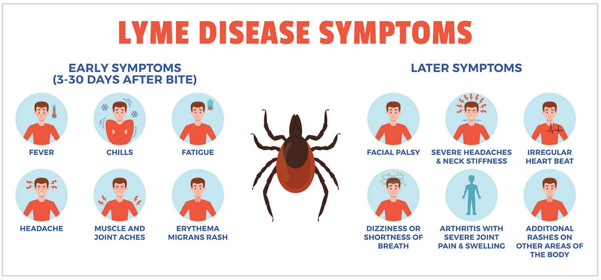 symptoms of Lyme disease