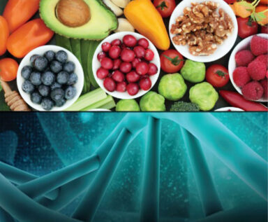 Split photo with fruits and vegetables on top half of image and DNA on bottom half of image