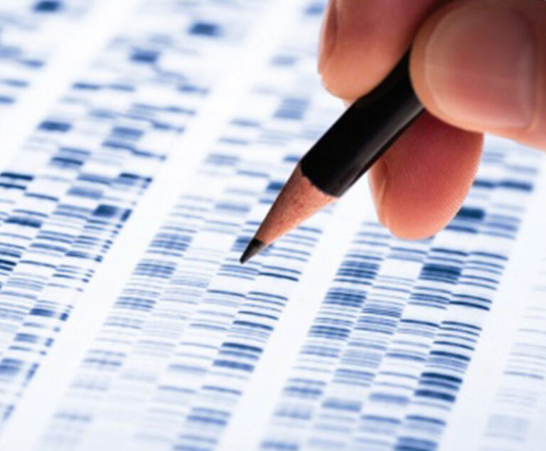 Image of researcher looking at DNA strands