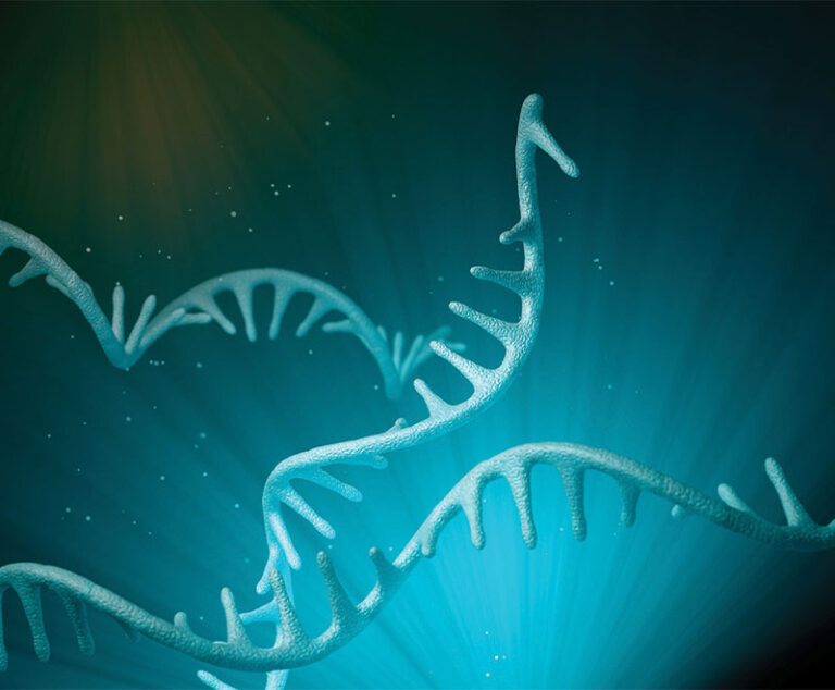 Image of DNA